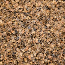 Pohankové slupky výplň 1 kg