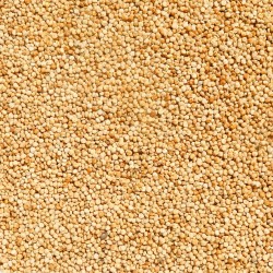 Quinoa biela Život bez lepku