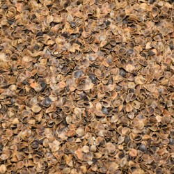 Pohankové slupky