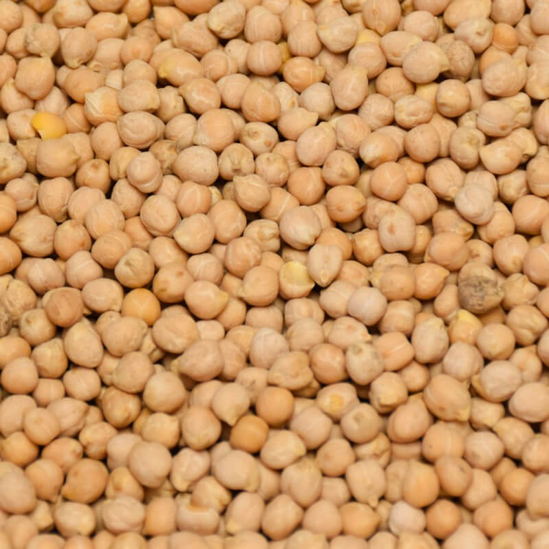 BIO cizrna / cícer Život bez lepku BIO cizrna / cícer Život bez lepku