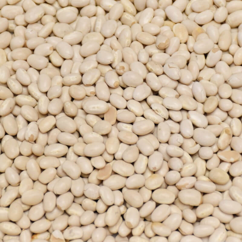 BIO fazuľa malá biela Život bez lepku BIO fazuľa malá biela Život bez lepku